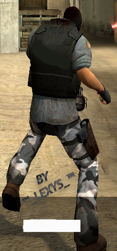 CS_Source_for-css_Model(T)